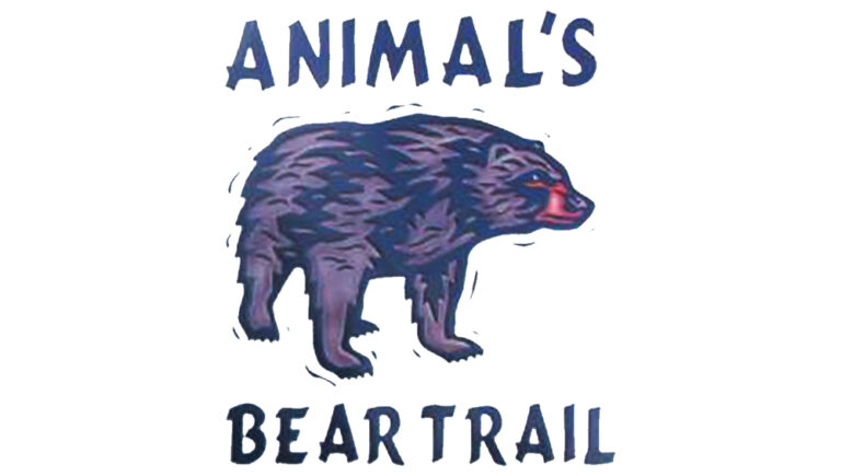 animals bear trail 1 768x435