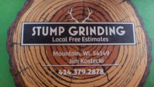 stump grinding 3