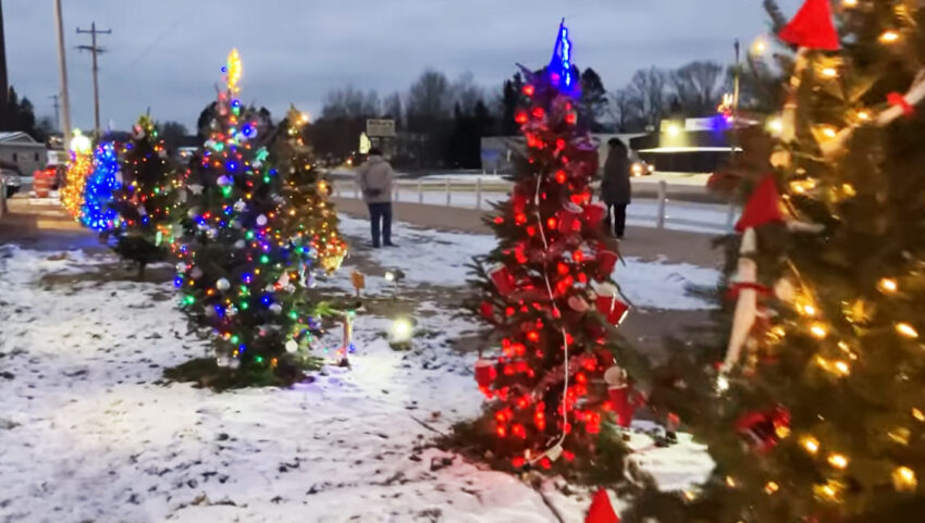 2024 townsend tree lighting 850x481