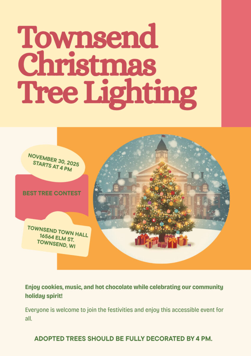 2025 11 30 townsend tree lighting 1 850x1202