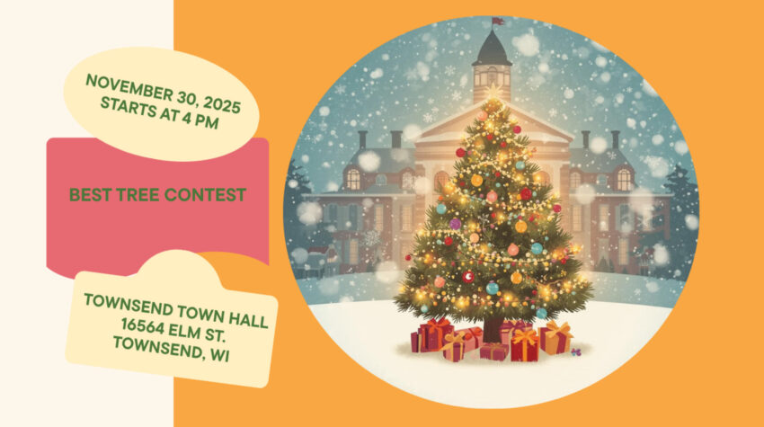 2025 11 30 townsend tree lighting 2 850x475