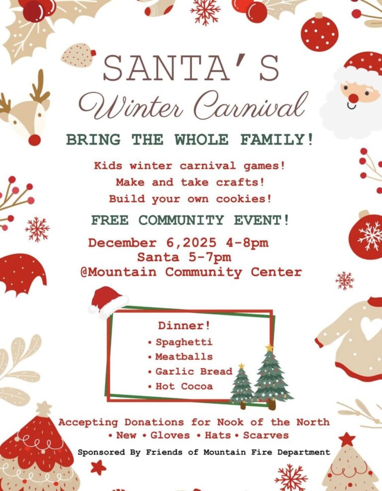 fomfd winter carnival 768x988