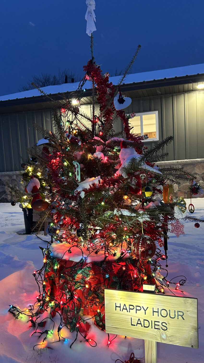 happy hour ladies 850x1511