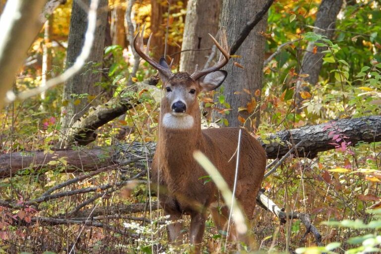 iStock 1654927766 768x512