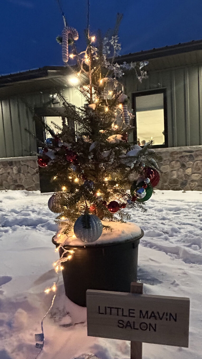 little mavin salon 850x1511