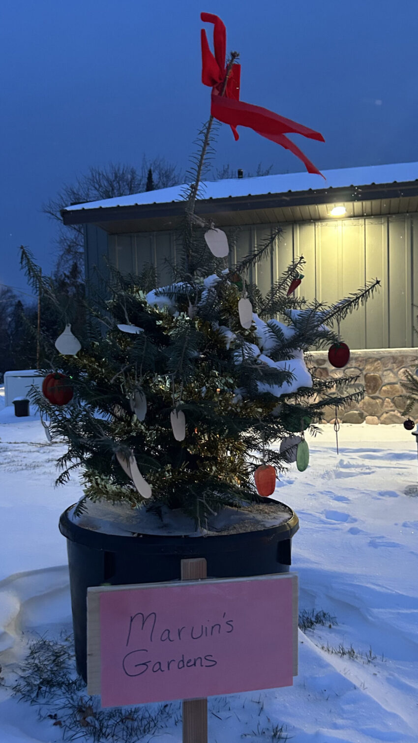 marvins gardins 850x1511