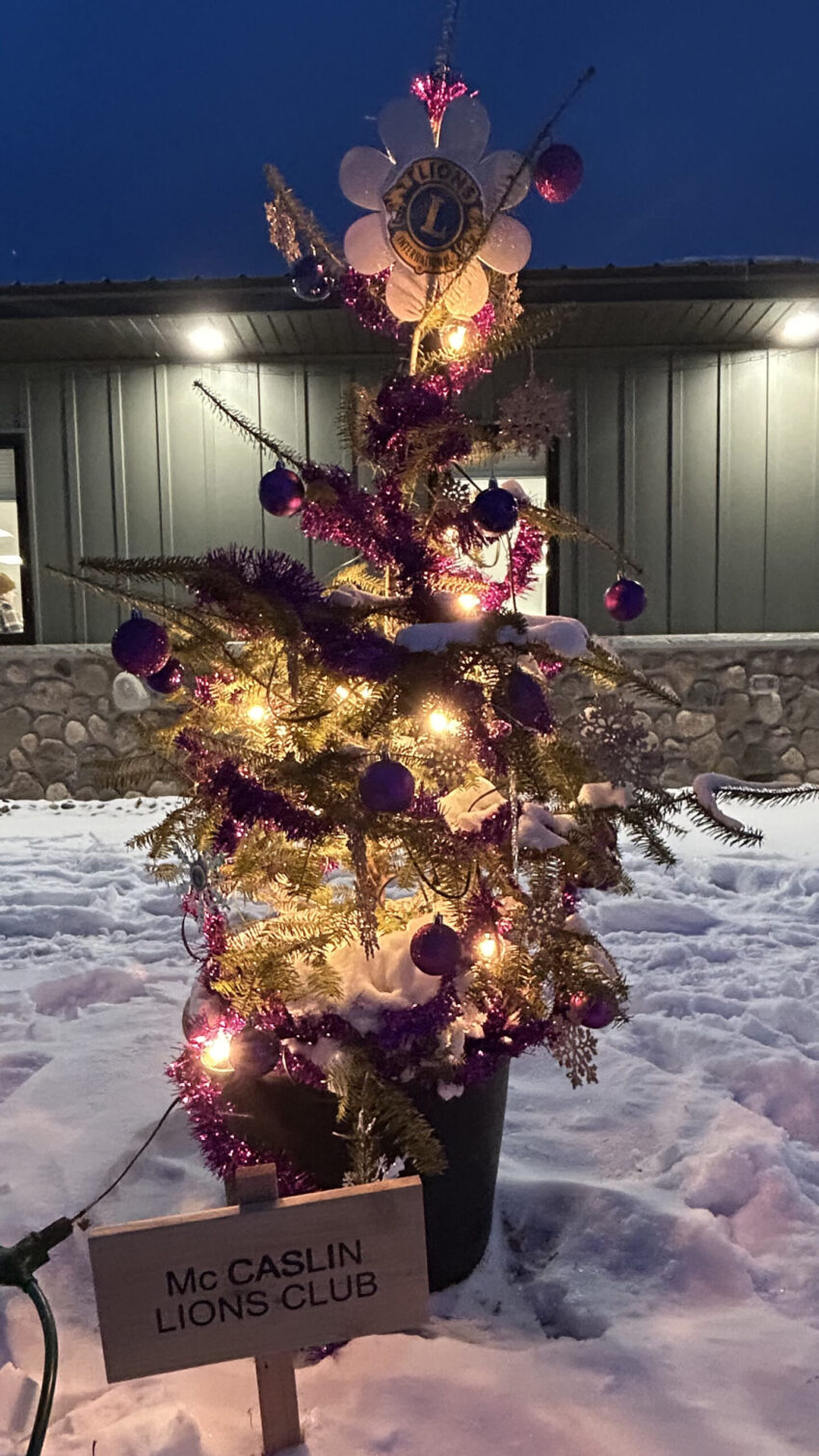 mc caslin lions club 850x1511