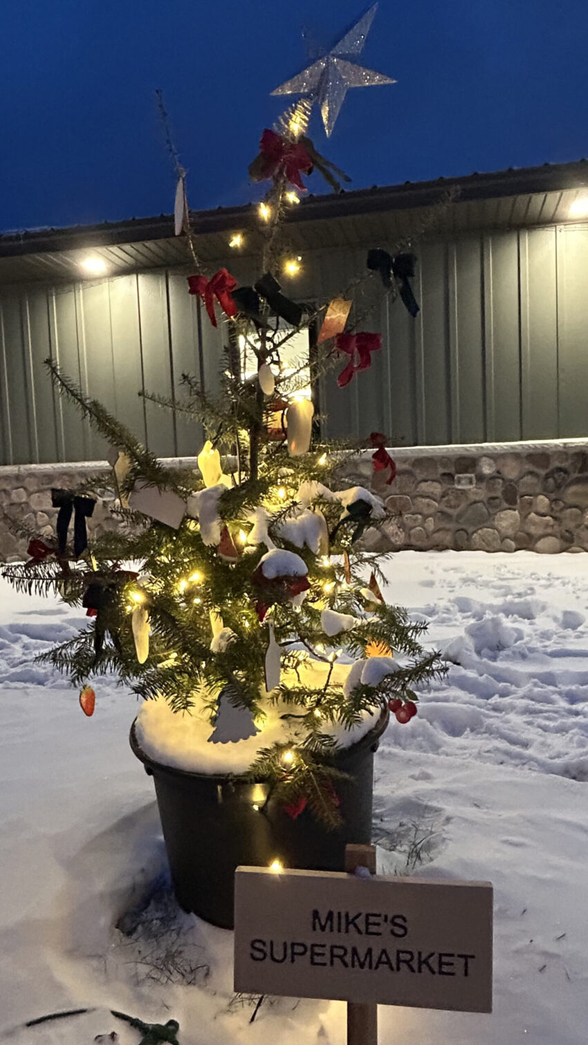 mikes supermarket 850x1511