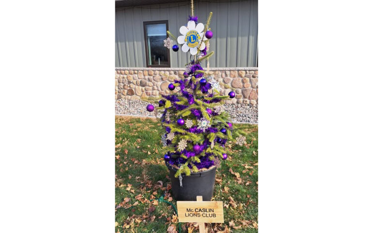 mncaslins lion tree 768x480