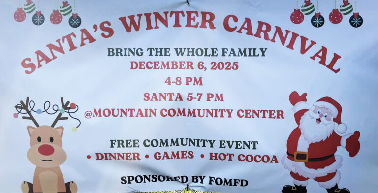 winter carnival 3 768x392