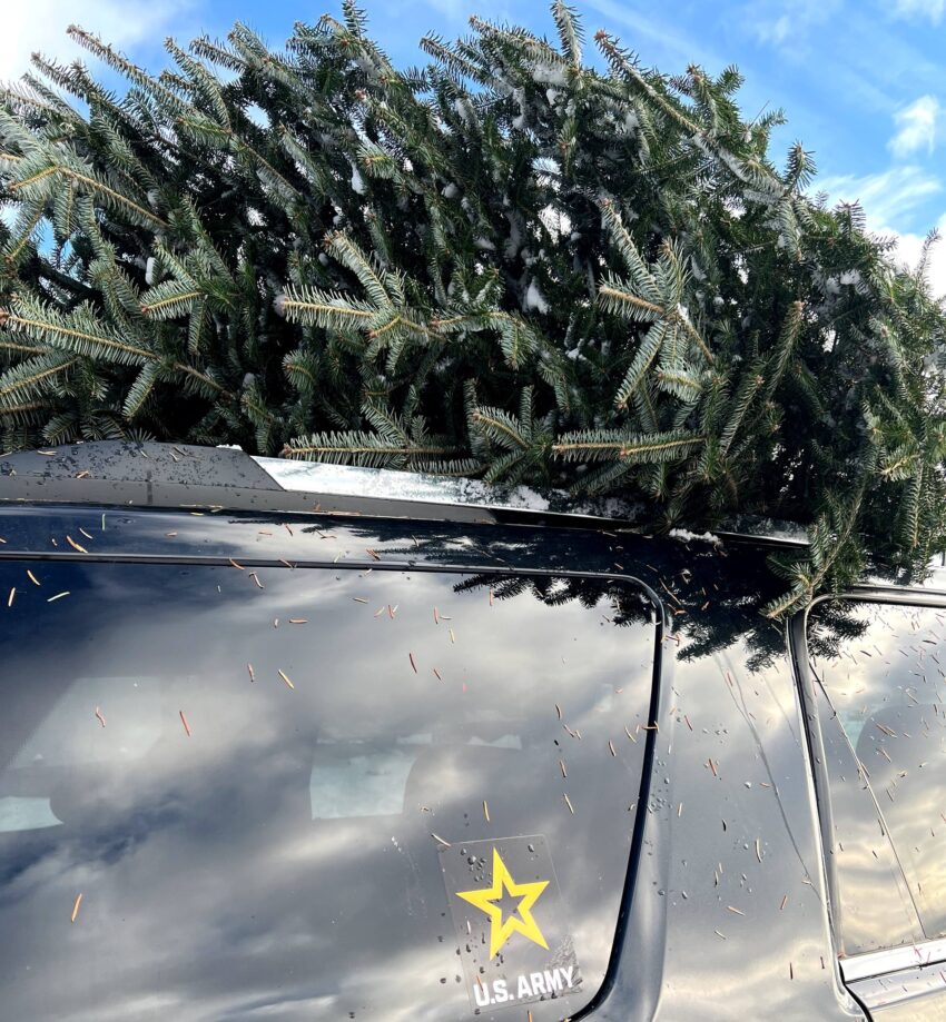 2025 12 01 trees4vets 7 850x919