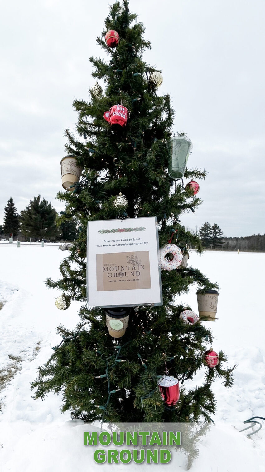 mountain ground 1 850x1511