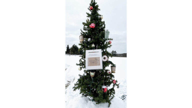 mountain ground large 768x432