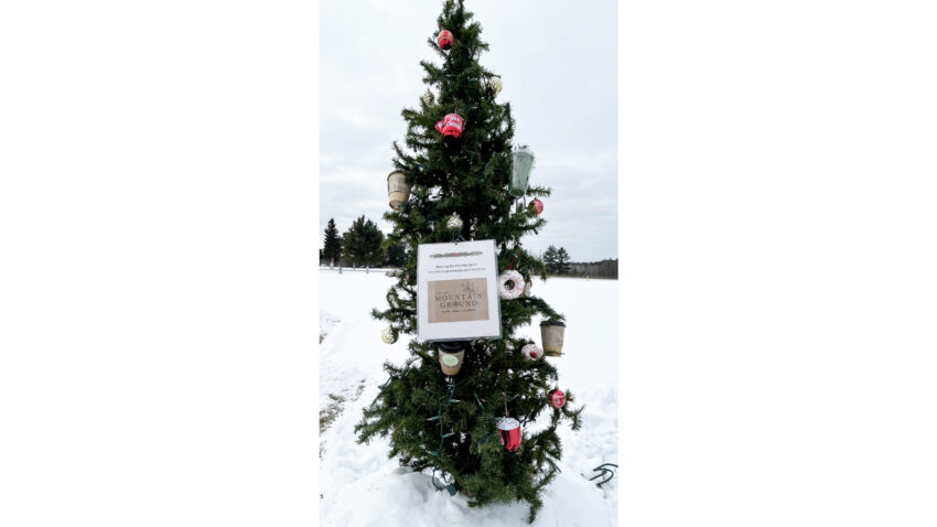 mountain ground large 850x478