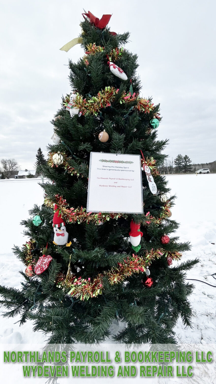 northlands payroll and bookkeeping 1 850x1511