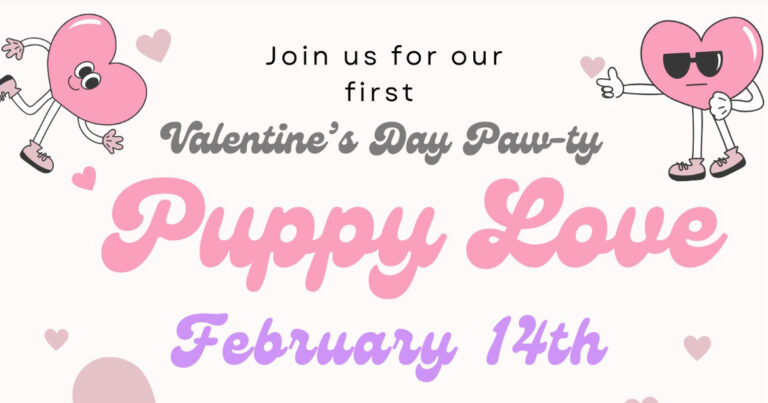 northern paws pet shoppe 2026 02 14 banner 2 768x403
