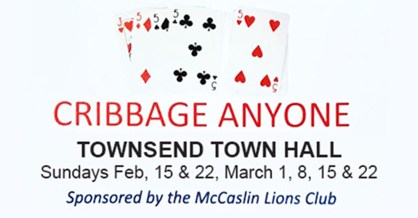 mccaslin lions cribbage banner 850x445