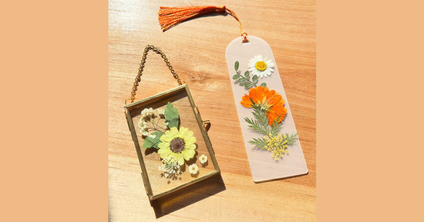 mountain ground 2026 02 27 850x445