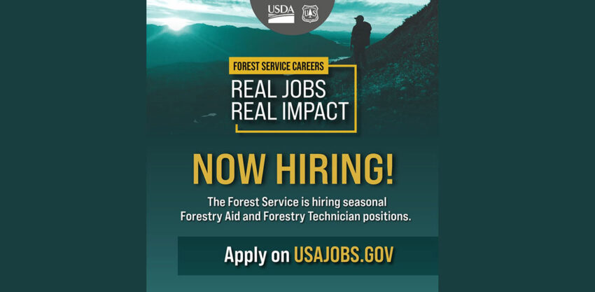 us forest service 2026 02 20 1 850x417