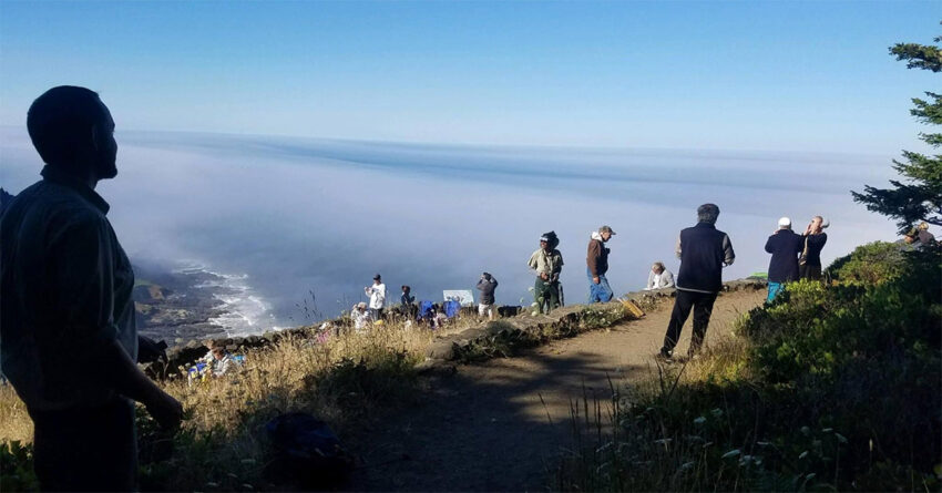 usda 2026 02 12 850x445