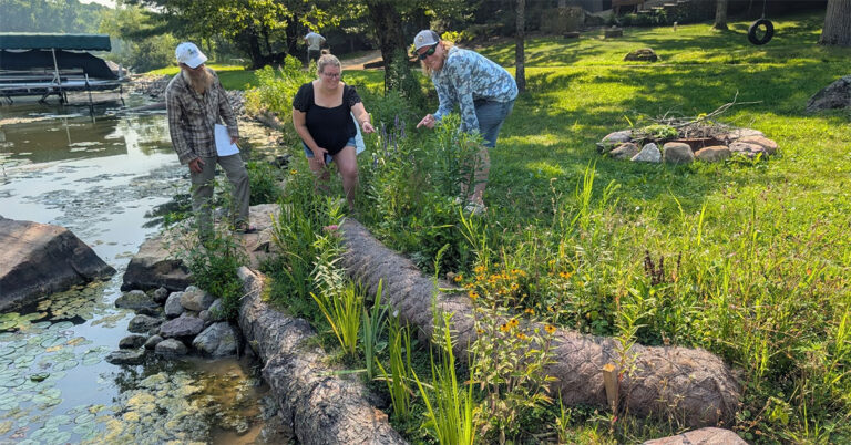 widnr 2026 02 11 768x402