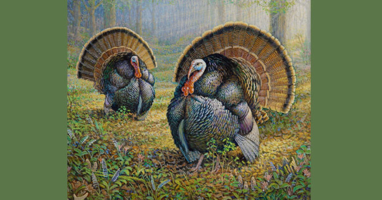 widnr 2026 02 23 768x402