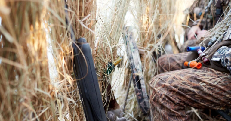 widnr waterfoul hunt 768x402