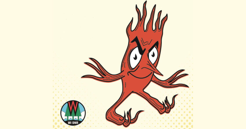 torchy 2026 03 24 850x445