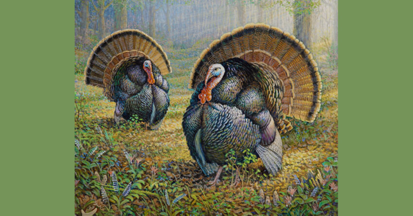 turkey stamp wi dnr 850x445