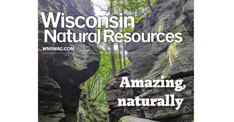 wi natural resources magazine 2026 03 banner 768x402