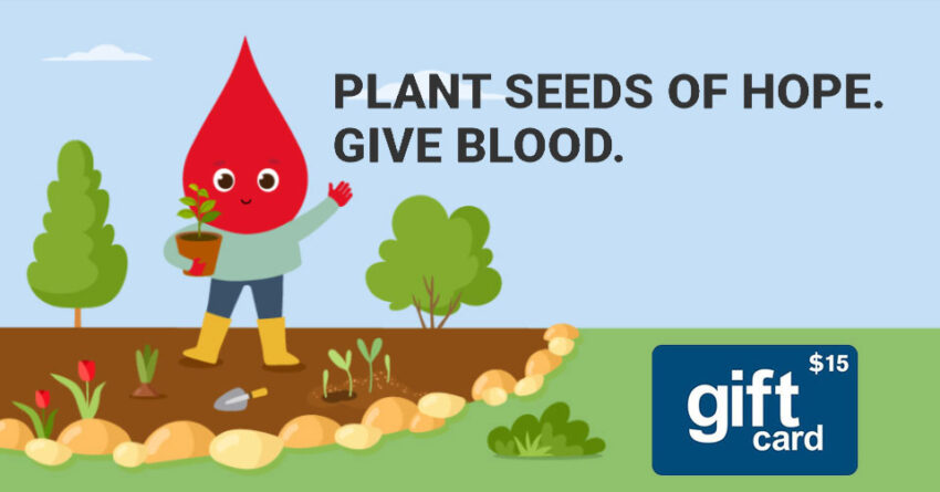 red cross 2026 04 01 21 850x445