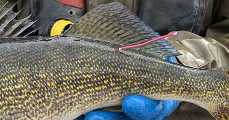 wi dnr 2026 04 21 768x403