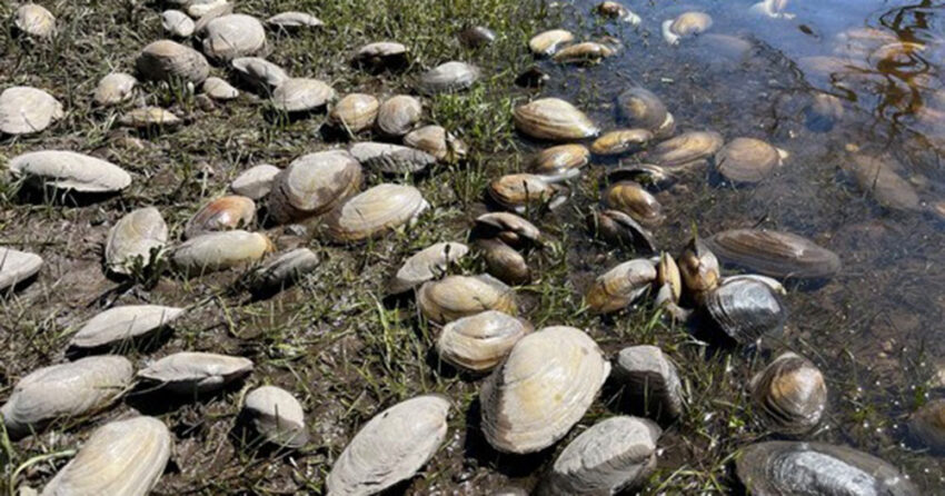 wi dnr 2026 04 23 850x446