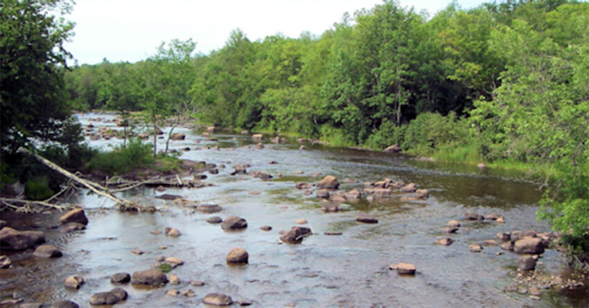 wi dnr fisheries 850x445