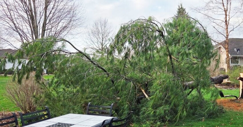 wi dnr storm damage banner 850x445