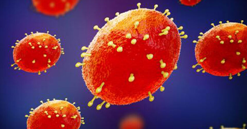 monkey pox virus 850x445