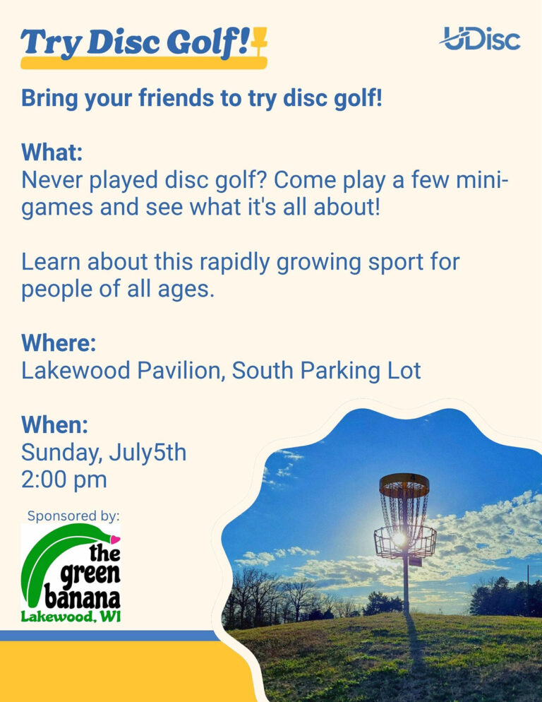 disc golf poster 1 768x994