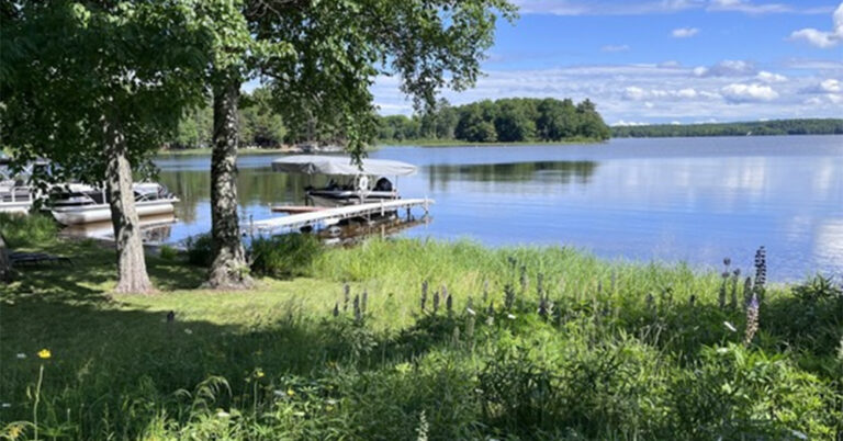 lake namakagon hlr shoreline wdnr crop 768x402