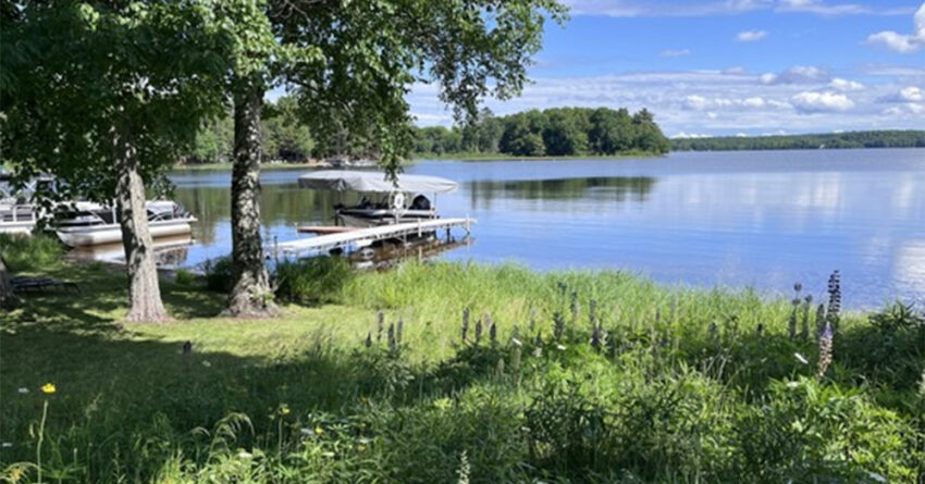 lake namakagon hlr shoreline wdnr crop 850x445