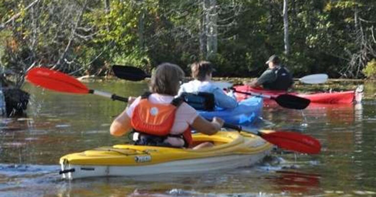 paddler pic1 768x402