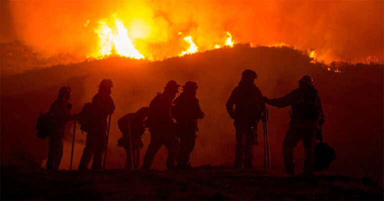 us forest service wildfire 768x402
