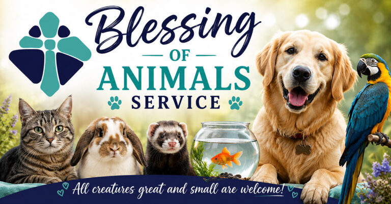 2026 08 16 blessing of animals 1 768x402
