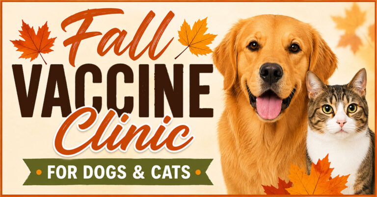 2026 09 26 fall vaccine clinic 1 768x402
