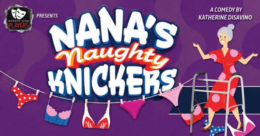 nanas naughty knickers banner 11 850x445