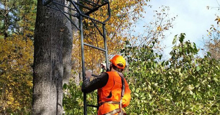 wi dnr deer stand 768x402