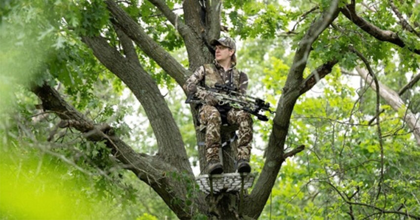 crossbow hunter in tree stand 850x445