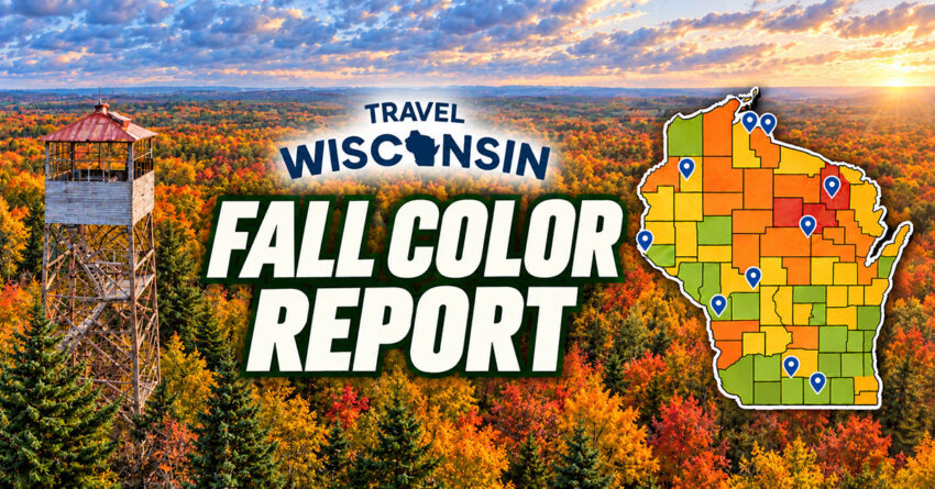 fall color banner 1 850x445