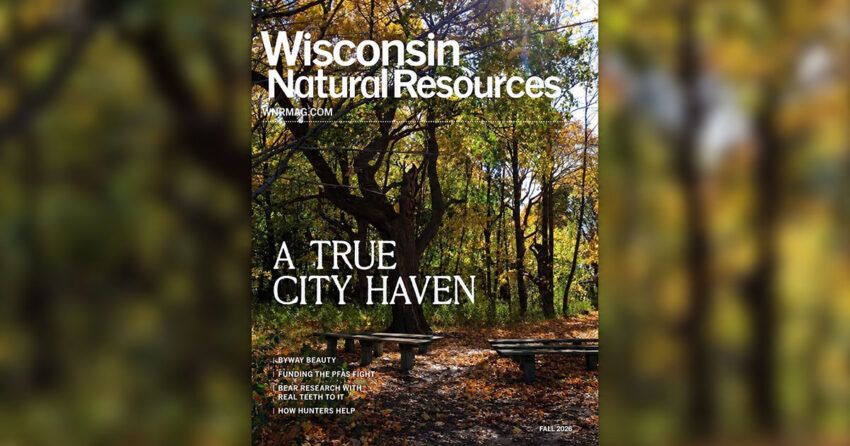 wi natural resources fall 26 cover 850x446