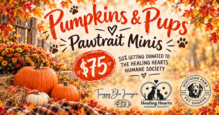 2026 10 17 northern paws 768x402