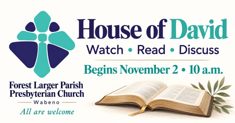 2026 11 02 house of david 768x402